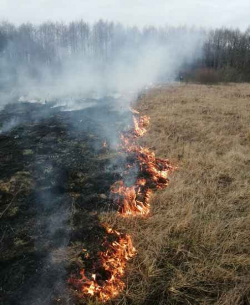 В Лидском районе уже регистрируют загорание сухой растительности