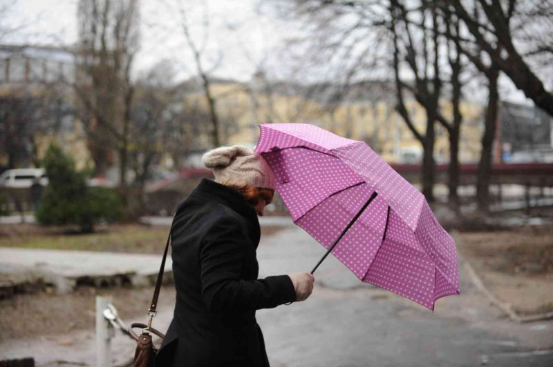 Сегодня по Гродненской области из-за усиления ветра объявлен оранжевый уровень опасности.