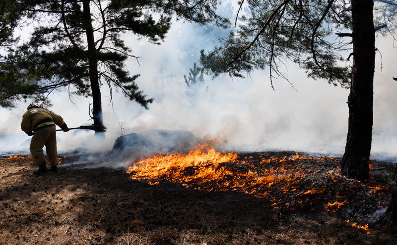 Лидский лесхоз принял участников Областных демонстративно-практических учений по обнаружению и тушению лесных пожаров